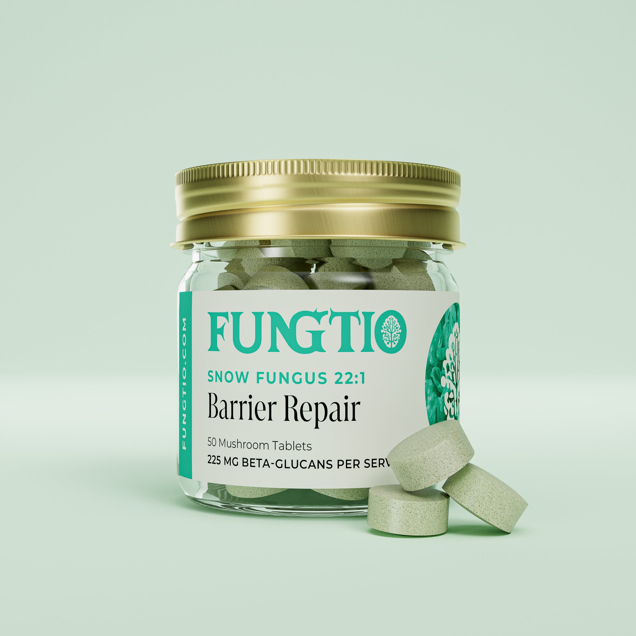 Barrier Repair - Snow Fungus 22:1