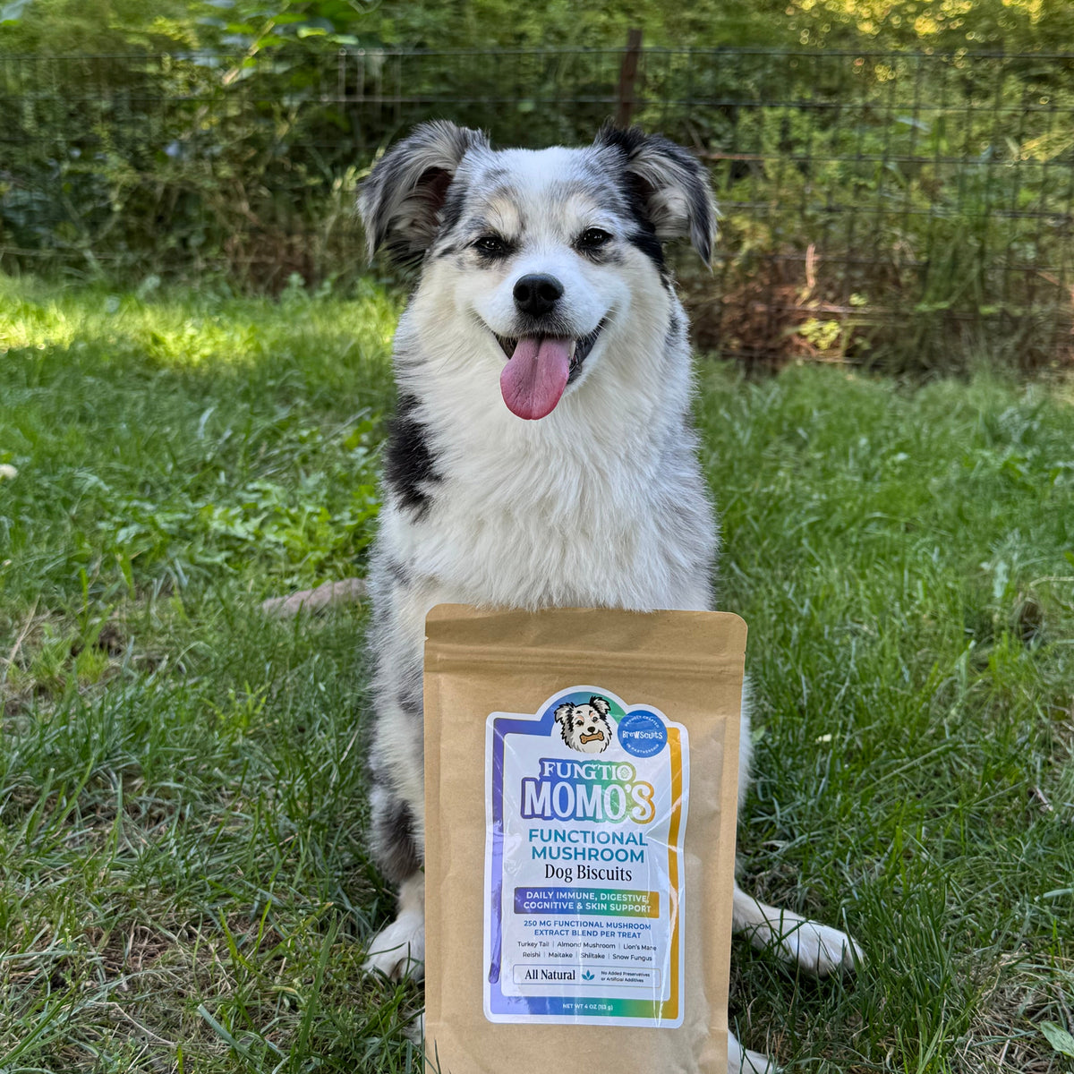 Fungtio Momo's Functional Mushroom Dog Biscuits